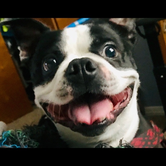 Meet your Posher, Jennifer - Picture 9 of 9